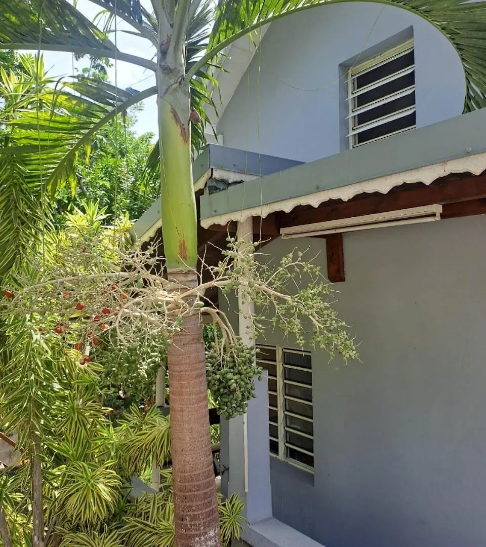 Villa Duplex Tropical Jungle à Le Gosier  Guadeloupe