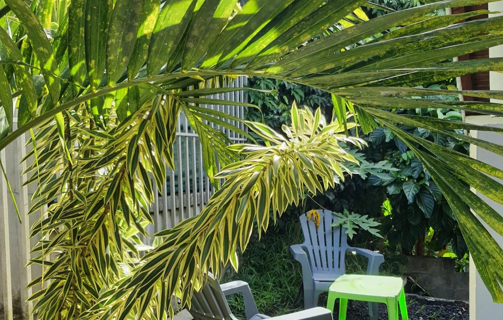 Duplex Tropical Jungle Villa Le Gosier  Le Gosier (Grande-Terre)